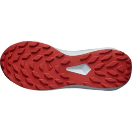 Salomon Alphaglide Herren Blau 44