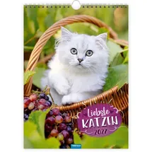 Trötsch Verlag Classickalender Liebste Katzen Wandkalender 2027