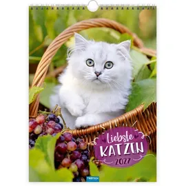 Trötsch Verlag Classickalender Liebste Katzen Wandkalender 2027