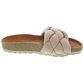 Verbenas Rai Roda rose 38