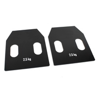 Austauschbare Body Plates Stahlplatten mit Griffen 2 x 2,5 kg für Gewichtsweste
