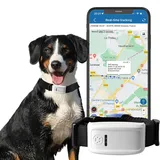 Winnes GPS Tracker Hund | APP-Fernüberwachung | Hund、 Katzen GPS Tracker Halsband | Geo-Zaun-Schutz, wasserdicht und mehrere Alarme | Anti-Lost-Tracking für Haustiere TK909