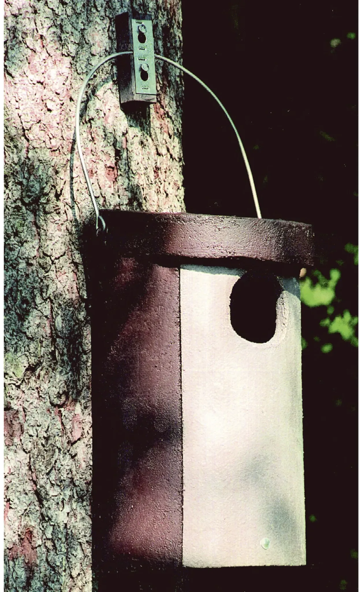 Schwegler Eulenhöhle Nr. 4