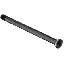 DT Swiss Steckachse RWS Plug-In 12 x 100 mm