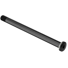 DT Swiss Steckachse RWS Plug-In 12 x 100 mm