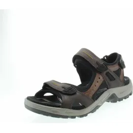 ECCO Offroad Herren espresso/cocoa 48