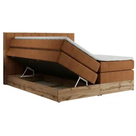 MKS Bellissimo King 140 x 200 cm H3 Orange