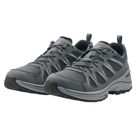 Lowa Innox EVO II GTX grau/grau 42,5