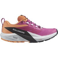 Salomon Damen Sense Ride 5 GTX Schuhe (Größe 38)