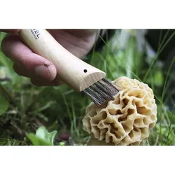 OPINEL Pilzmesser N°8
