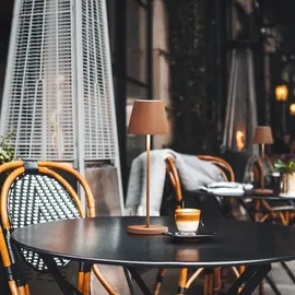 easy! by fhl Cosenza 2.0 Rostfarben