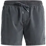 QUIKSILVER Everyday Surfwash Volley 15 Badeshorts Schwarz XS