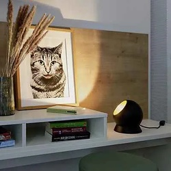 Bega 50916 - Studio Line Tischleuchte LED mit Holzsockel, Messing/Natur
