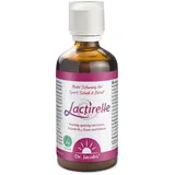 Dr. Jacob's Lactirelle Milchsäure-Cassis-Konzentrat Eisen