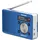 TechniSat DAB+ Radio DIGITRADIO 1 INFORADIO-Edition