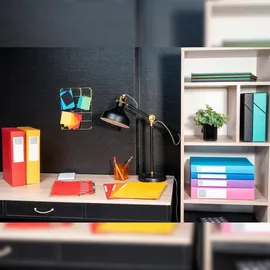 Exacompta 50300E Dateiablagebox Mehrfarbig