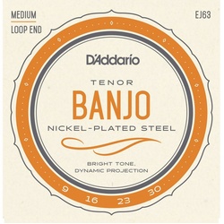 Daddario Spielzeug-Musikinstrument, Banjo Saiten EJ63 Tenor 4-String Nickel Loop End – Saiten