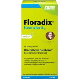 SALUS Floradix Eisen plus B12 Tonikum 250 ml