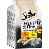 Sheba x 50g Fresh & Fine Truthahn & Huhn in Gelee Sheba Katzenfutter nass