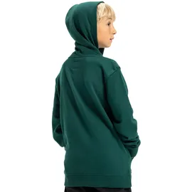 DC Shoes DC Star Green 158