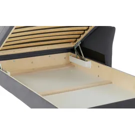 Nehl Liege Easy Flachgewebe 220 x 80 x 96 cm Grau mit Schlaffunktion