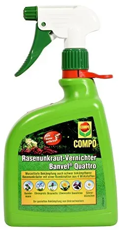 knstliche wimpern Kurze knstliche Wimpern fr Anfnger