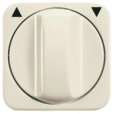 Busch-Jaeger Zentralscheibe ws 2542 DR-212