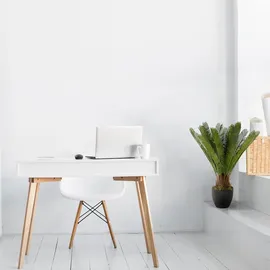 HJH Office Kunstpflanze CYCAS Kunststoff, Stoff