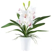 Gasper künstliche Orchidee Cymbidie REAL Touch H. 53cm weiß in weißem Topf