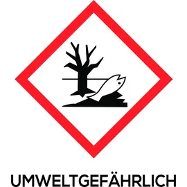 Steinbach Poolpflege Kristallklar Algezid 1 l, Aktivsauerstoff Poolchemie