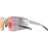 Alpina Twist Six S HR QV Sonnenbrille, grau - one size