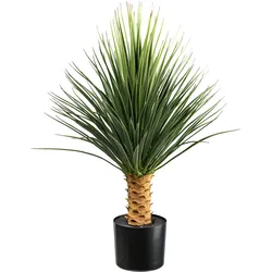Creativ green Kunstpflanze »Yucca Rostrata auf Stamm«, auf Stamm Creativ green grün-grau