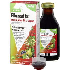 SALUS Floradix Eisen plus B12 Tonikum 250 ml