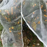 MZPOZB Gartennetz Verdicken Sie 60 Mesh Farm Obstbaum Anti Vogelschutznetz Garten Gewächshaus Gemüsepflanzen Schutzabdeckung Mesh Garten Feinmaschige(2x2x3m)