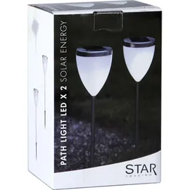 Star Trading Solarleuchte Glas 46 x 10 cm 2er Set silber