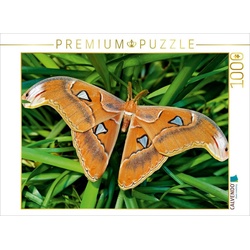 CALVENDO Puzzle CALVENDO Puzzle Atlasfalter - Attacus atlas 1000 Teile Lege-Größe 64 x 48 cm Foto-Puzzle Bild von Thomas Zeidler, 1000 Puzzleteile