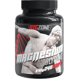 Big-Zone Magnesium Bisglycinat 240 Kapseln