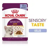 Royal Canin Sensory Taste in Jelly Katzenfutter nass