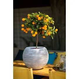 Capi Europe Nature Rib Kugel Ø 40 x 34 cm Anthrazit