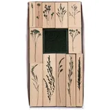 Rico Design Stempelset Transformation Holz