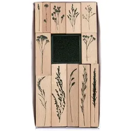 Rico Design Stempelset Transformation Holz