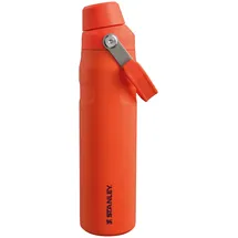 Stanley Iceflow Fast Flow Trinkflasche Sport 0.6L - Thermosflasche Hält 10 Stunden Kalt - Spülmaschinenfest - Wasserflasche Auslaufsicher - Sportflasche BPA-Frei - Tigerlily Plum