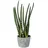 Creativ green künstliche Pflanze Sanseveria, ca 45cm