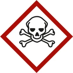 Gefahrstoffsymbol Totenkopf mit gekreuzten Knochen, Typ: 03037