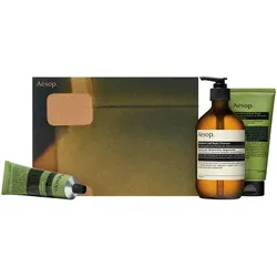 Aesop Screen 2