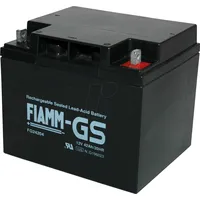 Fiamm FG24204 12V 42Ah