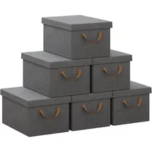 Woltu 6er Set Aufbewahrungsboxen mit Deckel, mit Griffen, faltbar, Grau, 27L(48x29x20 cm