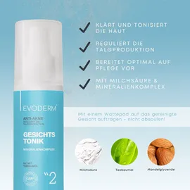 evoderm Hautpflege Set Gesichtsreinigungsgel Toner Niacinamide Retinol Serum 1 St