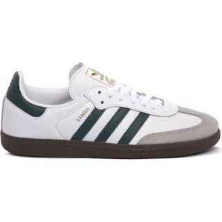 Cloud White / Collegiate Green / Clear Granite 42 2/3