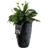 KADAX Blumentopf mit Einsatz und Griffen, aus Kunststoff, 48.5 cm, schwarz - KADAX